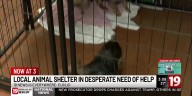 Euclid animal shelter in desperate need of help