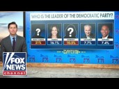 Who do Democrats think is their leader?