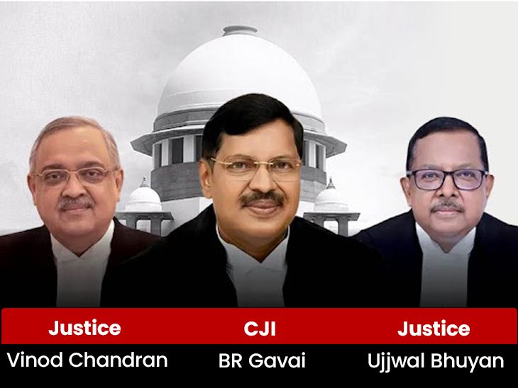 Supreme Court overturns its own 6-month-old ruling:SC reverses earlier stance, says prior approval not necessary for projects violating environmental norms