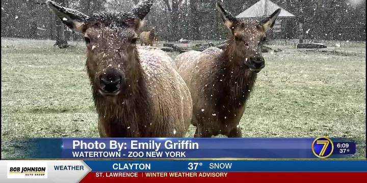 Send it to 7 Pics of the Week