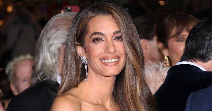 George Clooney's Wife Amal Is Unrecognizable in New 'Facetuning' Photo
