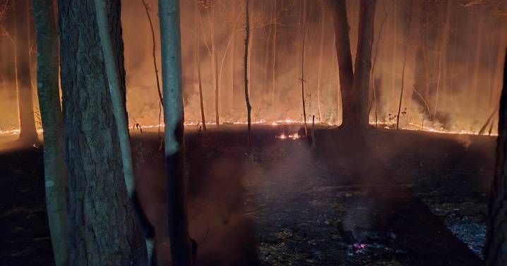 Brush fire contained in Virginia Beach neighborhood