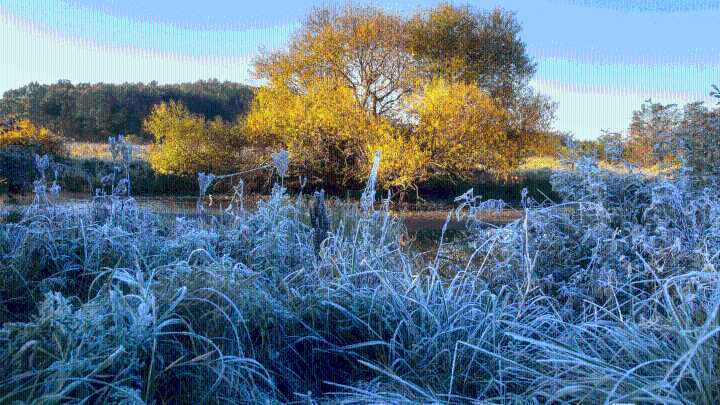 Your Mississippi forecast for Monday, November 10