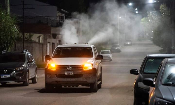 Cronograma de fumigación