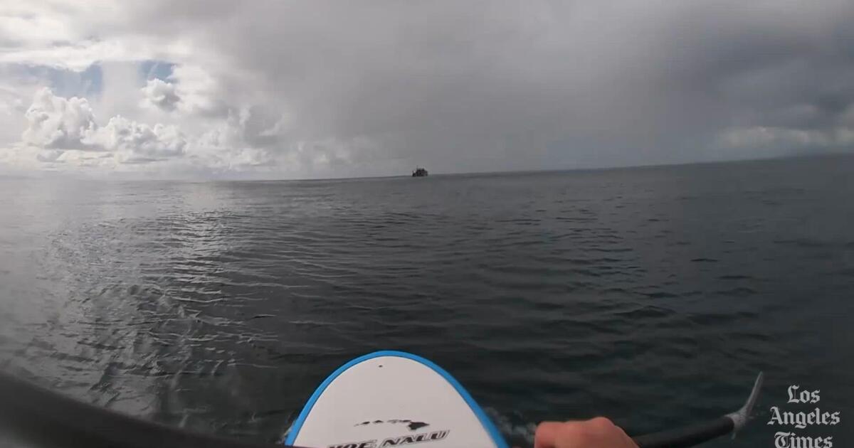 Aliens? Submarines? Gassy whales? Mystery bubbles off California coast spark intrigue, theories