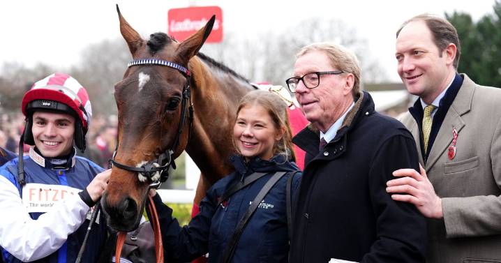 Harry Redknapp's 'nerve-wracking' five minutes as star horse The Jukebox Man returns