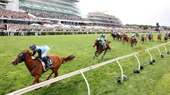 Melbourne Cup results, full finishing order 2025: Field placings, winner, where your horse finished