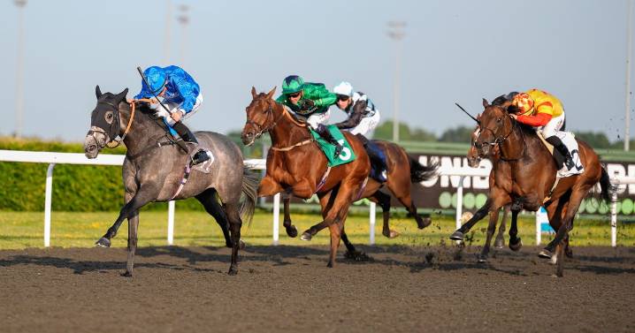Newsboy's horse racing selections for Monday's four meetings, including Kempton Nap