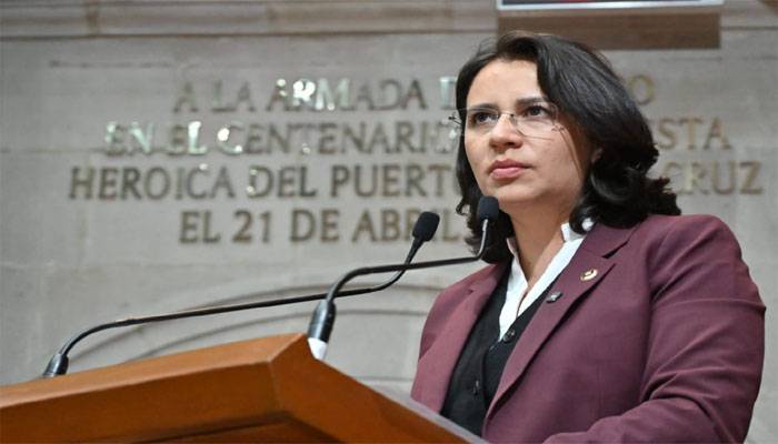 Plantean restricciones recreativas para personas deudoras alimentarias