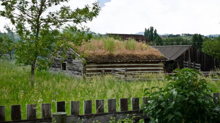 Top Mennonite Vacation Rentals Available Right Now on AirBnB