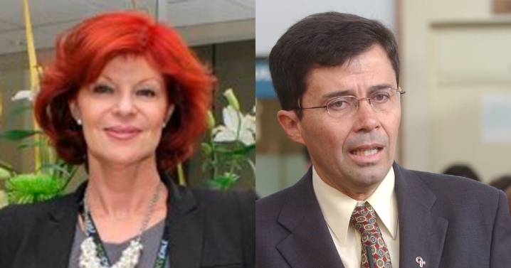 Ante incipiente disolución de Amarillos: Iris Boeninger y exministro García entregan señales en favor de Kast