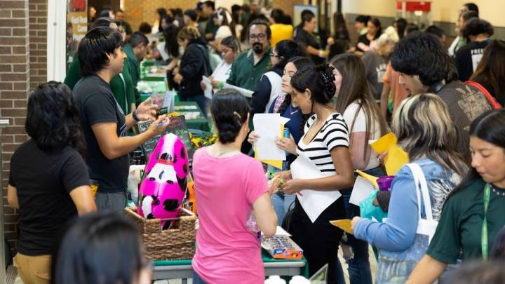 Laredo College ofrece diversos programas académicos; ¿cuáles son y de qué tratan?