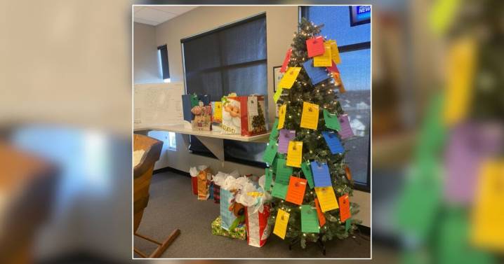 Senior Sleigh program brings Christmas joy to nearly 900 nursing home residents