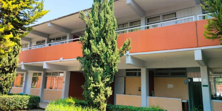 La propuesta del Congreso para frenar el bullying escolar