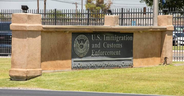 Florida woman faces deportation after throwing coffee on mother, infant, dog, report says