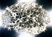 Neuroplasticity Explained: Unlocking Brain Rewiring for Better Mental Health Science