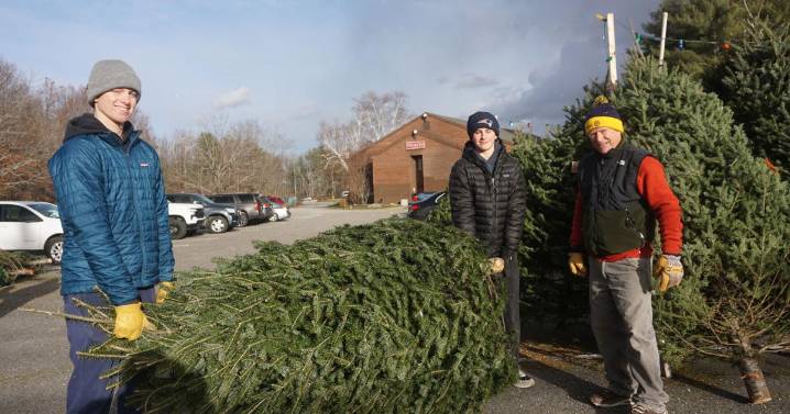 Gilford Rotary Christmas tree sale starts strong with 75 purchases on 1st day