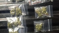 Recoleta santafesina: detuvieron en una estación de GNC a un dealer con 12 paquetes de marihuana