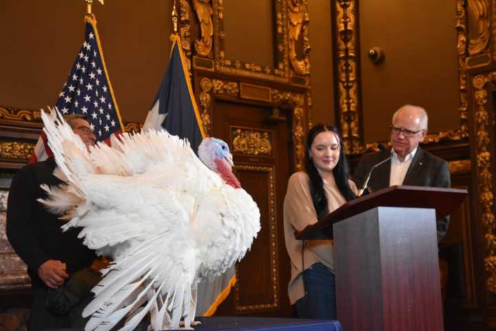 Gov. Tim Walz presents Gru, Minnesota’s Thanksgiving turkey
