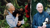 Here's how Jane Goodall's deep Christian faith sustained her until death at 91