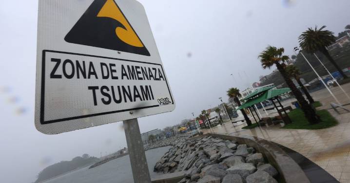 SHOA descarta tsunami en costas de Chile tras sismo percibido en el Océano Pacífico