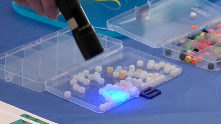 UAlbany hosts hands-on STEM and Nanotechnology family day