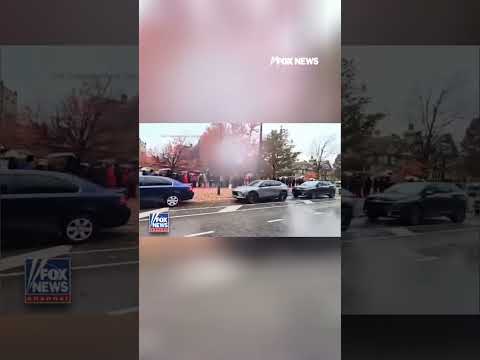 SHUTDOWN IMPACT: Families line up for food amid SNAP benefit freeze #shorts #usa #food #us