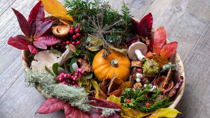 Create a natural holiday centerpiece using elements from your garden and yard