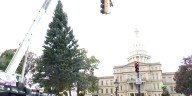 State Christmas tree arrives at Michigan Capitol