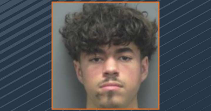 Rock Co. teen pleads not guilty in crash that killed 1, hurt 3