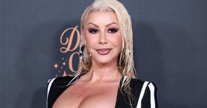 Donald Trump Superfan Amber Rose Looks Almost Unrecognizable as She Shows Off MAGA Hat in Plane Selfie