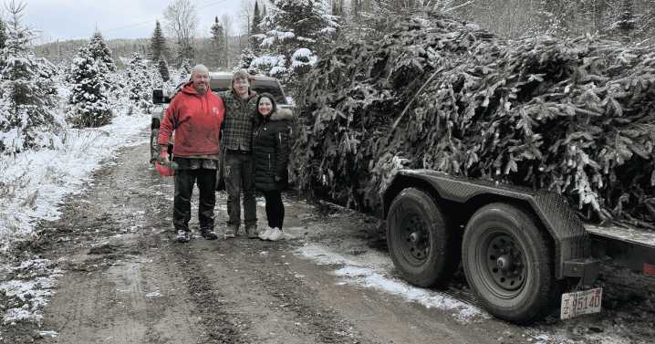 Amesbury's Christmas tree is up in Market Square