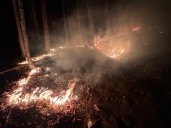 Pendleton County forest fire grows to close to 350 acres