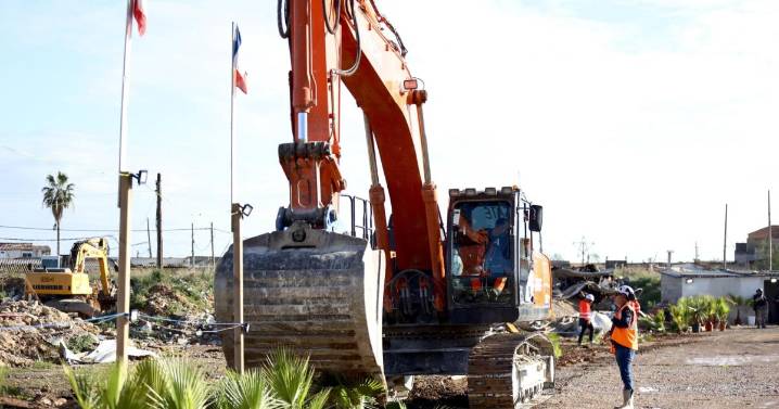 Los narcos de son Banya compraron 280 palmeras para crear un gran jardín en el poblado y que diera «menos miedo»