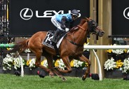 Jamie Melham creates history as Half Yours wins 2025 Melbourne Cup