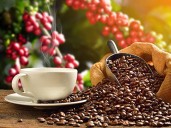 Sube el café y baja precio del azúcar en El Salvador