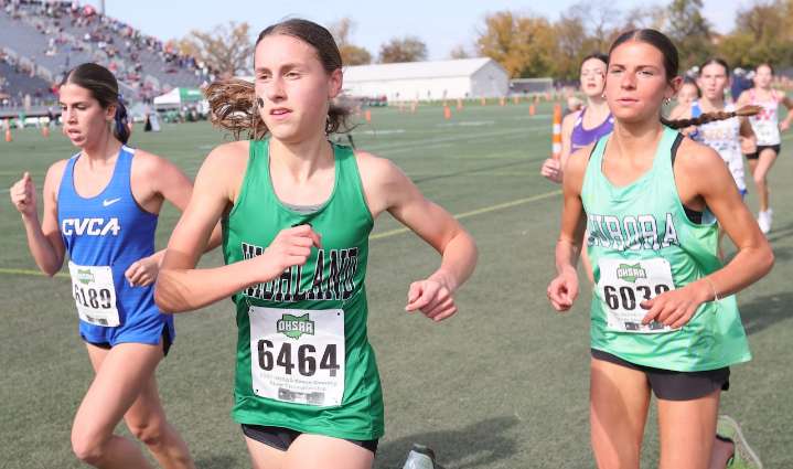 OHSAA girls cross country: How Northeast Ohio runners fared at the state championships