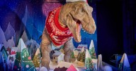 Santa Jaws is coming to town to launch Natural History Museum’s sustainable Christmas jumper