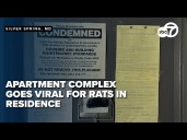 Viral video of rat infestation in Maryland apartment complex spurs county crackdown