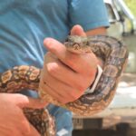 Jujuy fortalece su compromiso con la fauna...