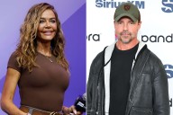 Denise Richards Breaks Silence After Being Granted 5-Year Restraining Order Against Ex Aaron Phypers