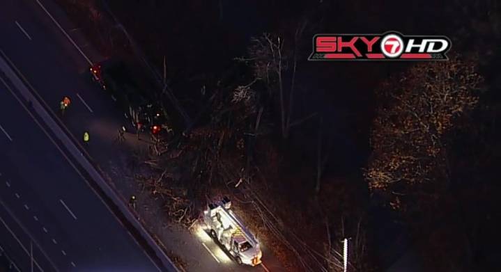 Tree falls on Route 9 in Shrewsbury