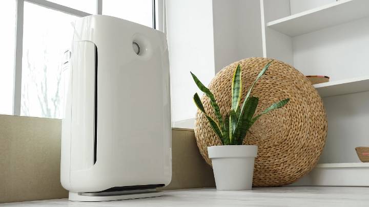 Tol Mol Ke Bol: Your Guide To The Best Air Purifiers For Cleaner Indoor Living