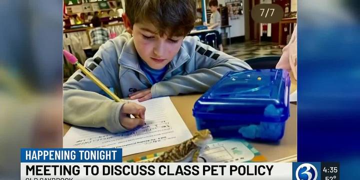Old Saybrook revisits classroom pet ban after animals removed over allergy, disease concerns
