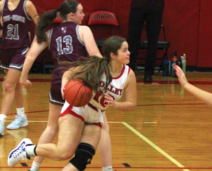 New York’s top high school girls basketball players: Meet the best Section V centers