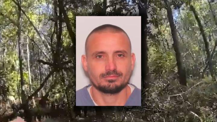 Volusia deputies search for man who fled in stolen car, hid in swamp