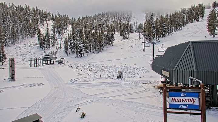 Un oso ataca a alumnos y maestros en un camino en Canadá