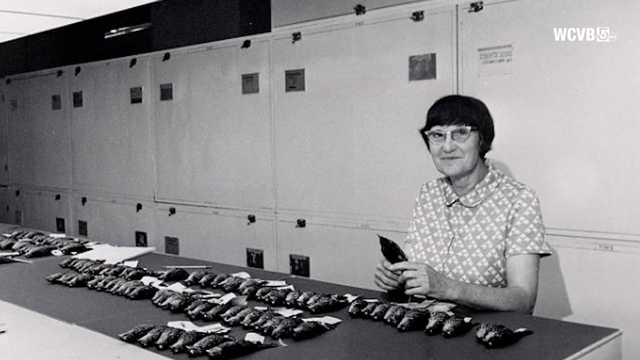 How a Boston crash launched 'feather detective,' reshaped aviation safety