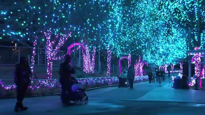 LumiNature returns to the Philadelphia Zoo