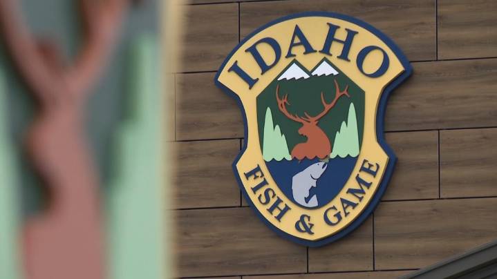 IDFG: 17 convicted for wildlife violations in Idaho after extended investigation